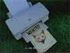 epsondog.mpeg