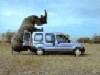 renaultkangoo.mov