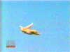 flyingcat.mpeg