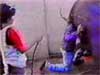 intoelephant.mpeg