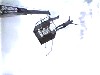 bunjeejumping.mpeg