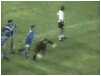 chilavert.avi