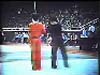 martialartsweaponfighting.mpeg