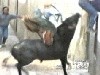 pamplona.avi