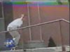 skateboard.mpeg