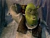 shrek.mov